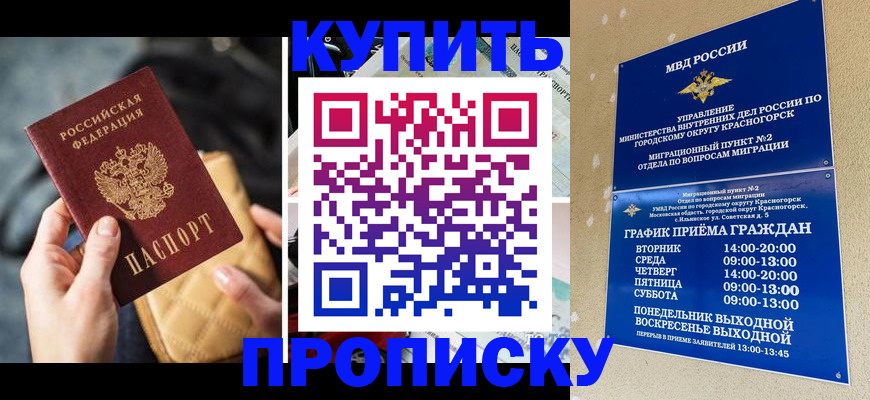 прописка законно в Королёве